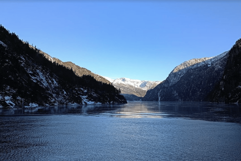 Best of Bergen: Fjord Cruise and Guided City Walk
