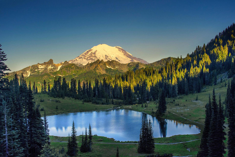 Private Mt Rainier National Park Day Tour Glacier Waterfalls