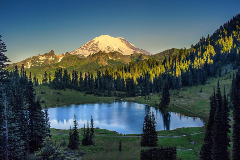 Private Mt Rainier National Park Day Tour Glacier Waterfalls