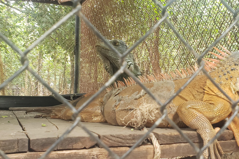 Chi so mountain _ Ta moa zoo_ Bati temple Tour