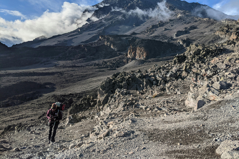 Arusha: 7-Day Kilimanjaro Lemosho Route Trek with Hotel Stay