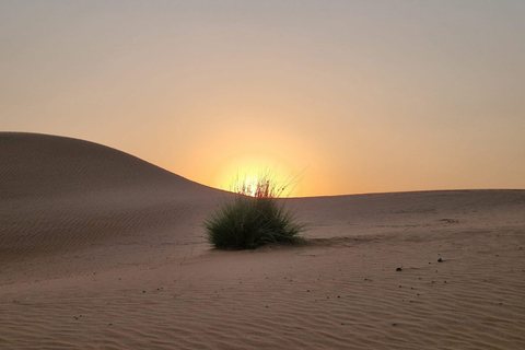 Desde Mascate: 2 días, 1 noche en Wahiba Sands