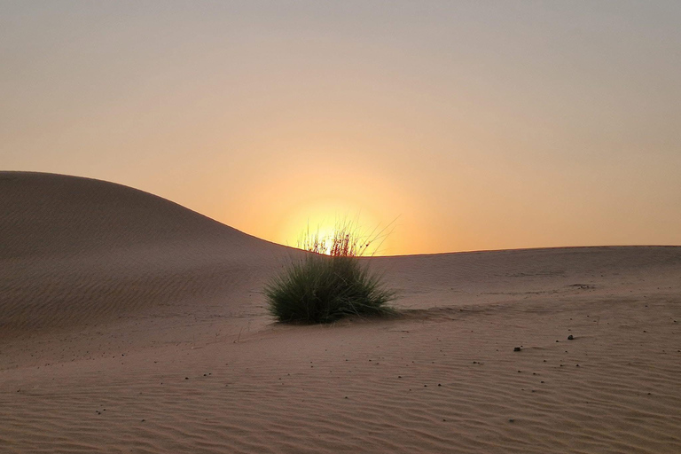 Desde Mascate: 2 días, 1 noche en Wahiba Sands