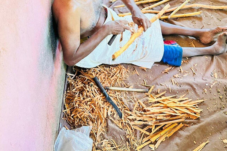 From Colombo: Ratnapura Gem, Tea & Spice Day Tour