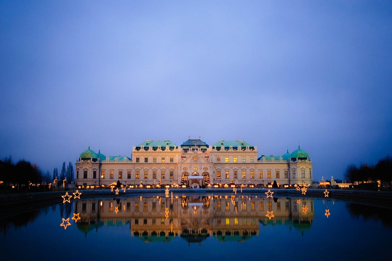 Viena: Tour nocturno privado con un local