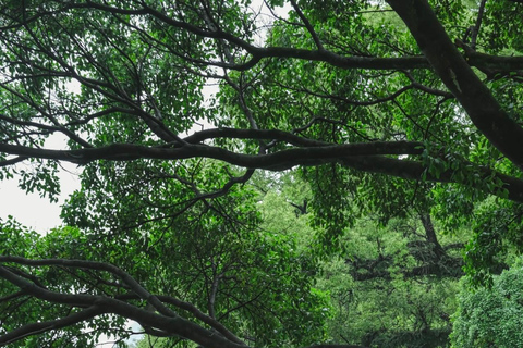 Guilin City Shared Day Trip: Elephant Hill, Cruise & Cave