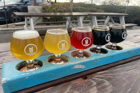 Private San Diego Beer Tasting Tour
