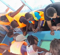 Diani Beach, 2-Hours Glass Bottom Boat cruise - Housity