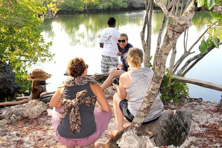 زنجبار: غابة جوزاني، ومزرعة التوابل، ومدينة ستون تاون مع مرشد سياحي