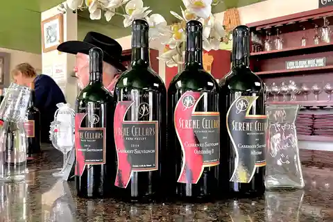 Santa Cruz: Wine Tasting Experience