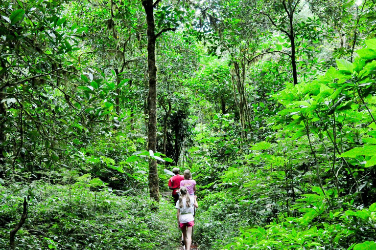 Munduk: Twin Lake Jungle Wandeling, Ulun Danu Tempel, &amp; WatervalTour met trefpunt bij Twin Lake, Munduk