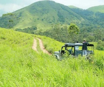 Thekkady Adventure: Off-Road Jeep Safari & Vagamon Tour
