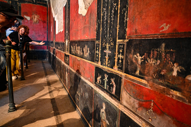 Pompeii: Group Guided Tour with an Expert Archaeologist Group Tour with Entrance Ticket Included