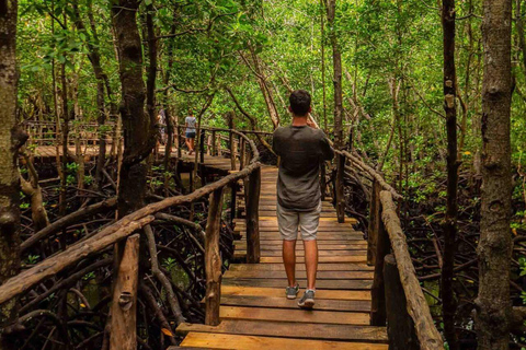 Zanzibar: Jozani Forest & Salaam cave Jozan forest & Salaam Cave