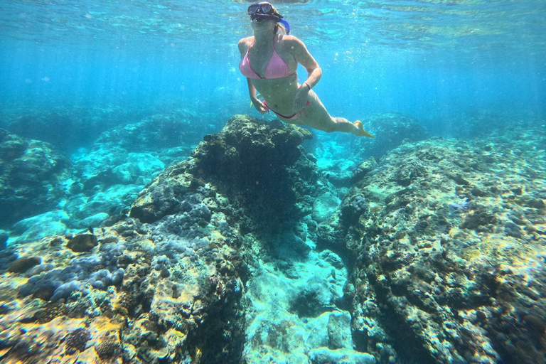 From Bali: Manta Point Snorkeling 3-Spots + Lunch & Pickup