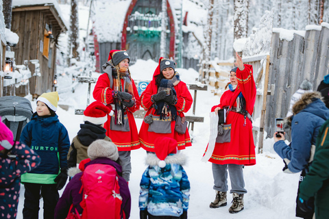 Levi：Arcandia，精灵法庭/日光和公园/黑暗精灵法庭：3 小时体验和公园之旅