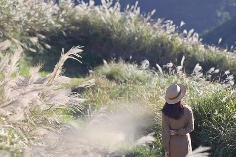 Podwórko Tajpej — jednodniowa wycieczka do Parku Narodowego Yangmingshan9-godzinna podróż {czteroosobowy samochód służbowy}