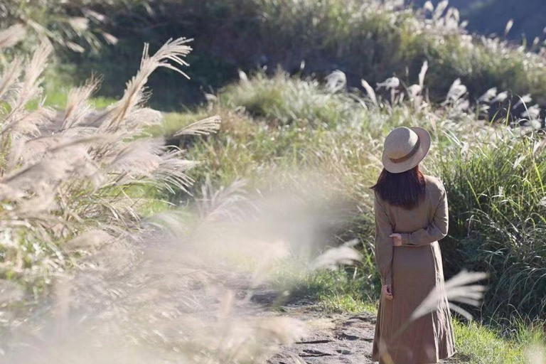 Podwórko Tajpej — jednodniowa wycieczka do Parku Narodowego Yangmingshan9-godzinna podróż {czteroosobowy samochód służbowy}