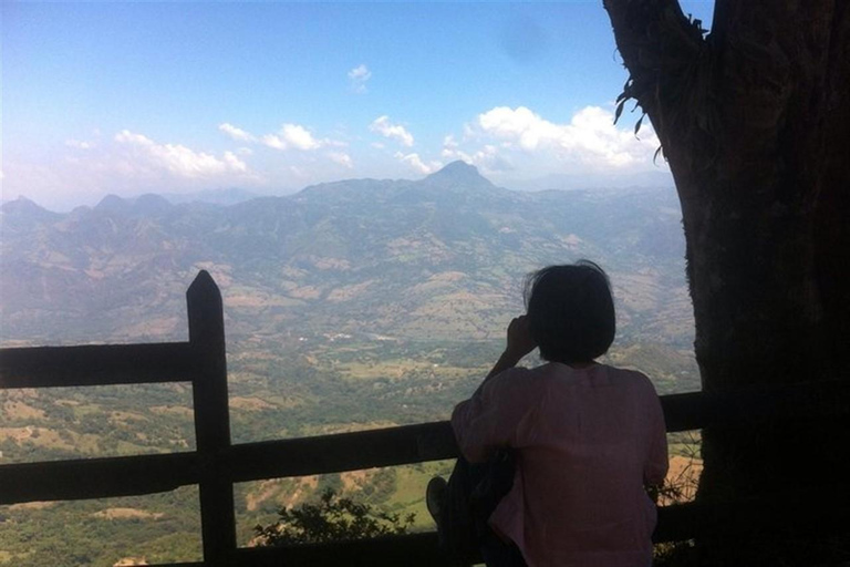 من ميديلين: جولة قهوة خيريكو لمدة يومين