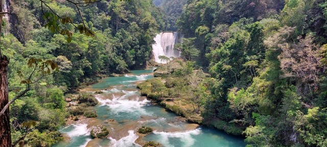 Visit From Palenque Roberto Barrios and El Salto Waterfalls Tour in Palenque