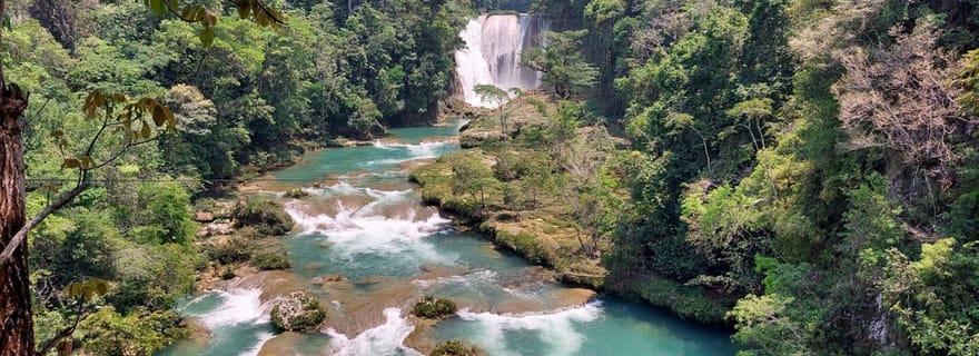 Depuis Palenque : Roberto Barrios et les chutes d'eau d'El Salto