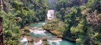 From Palenque, Roberto Barrios and El Salto Waterfalls Tour - Housity