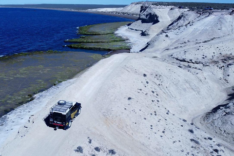 PUERTO MADRYN: PRZEŻYJ PRZYGODĘ 4 X 4 NA NAJPIĘKNIEJSZYCH PLAŻACH!