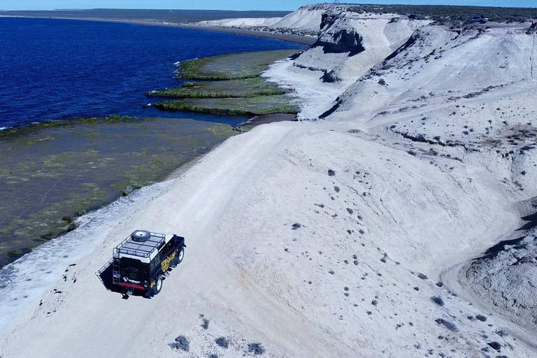 PUERTO MADRYN: PRZEŻYJ PRZYGODĘ 4 X 4 NA NAJPIĘKNIEJSZYCH PLAŻACH!