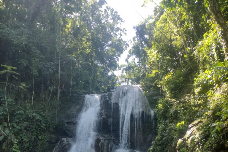 Puerto Rico: Gozalandia River Hiking and Waterfall Tour