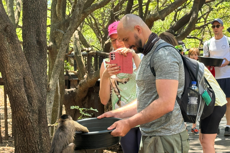 Vanuit Johannesburg: Dagtrip olifanten- en apenopvangcentrum