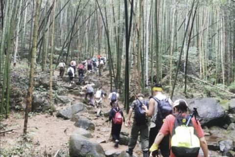 Shanghai: Moganshan Bamboo Hike with 1920s Villas private tour option