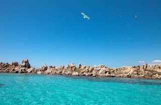 Von Santa Teresa Gallura aus: Korsika- und Bonifacio-Schlauchboot-Tour