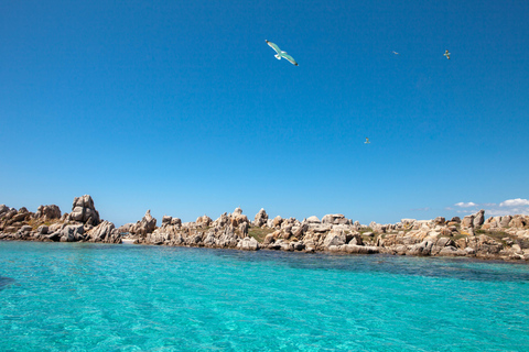 From Santa Teresa Gallura: Corsica and Bonifacio Boat Tour