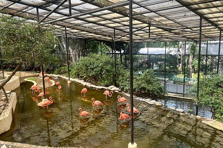 Hong Kong: 360 Panorama Sunset Hike to the Peak with Local Hong Kong: 360° Panorama Sunset Hike to the Peak with Local