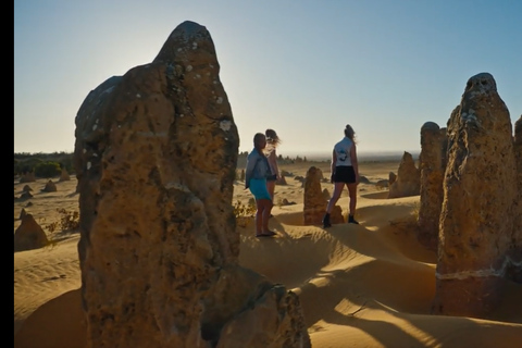 Perth: 2-Day Pinnacles, Sea Lions, and Seafood Tour