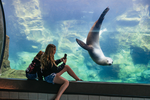 Los Angeles: Företrädesbiljett till Aquarium of the Pacific