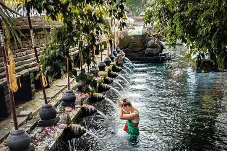 Ubud: Waterfalls, Water Temple, Rice Terrace, Private tours tour without entrance ticket - private tour