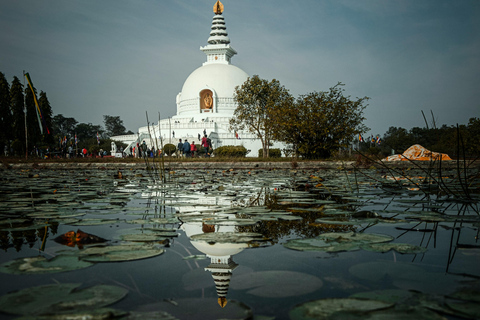 Lumbini Half Day Guided Tour By Car : 4 Hour