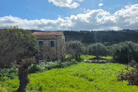 Chania: Private Wine & Olive Oil Tasting with Village Tour