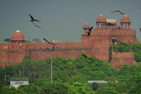 Delhi: Old Delhi Cultural Tour with Gandhi Memorial