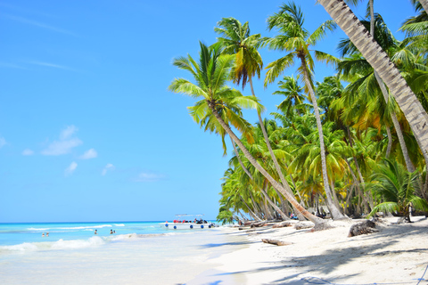 Best Trip to Saona Island: Beaches, Snorkeling, Sea Star (max 15), Speedboat