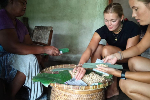 Yogyakarta : circuit authentique à vélo, déjeuner et escapade à la cascade