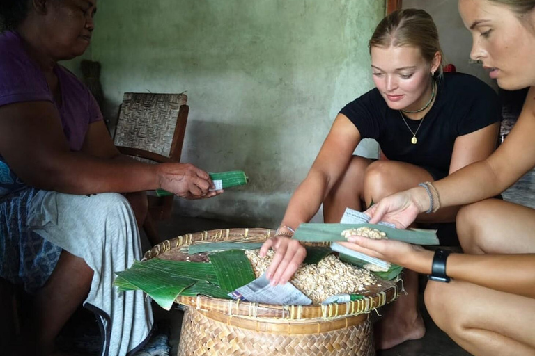 Yogyakarta : circuit authentique à vélo, déjeuner et escapade à la cascade