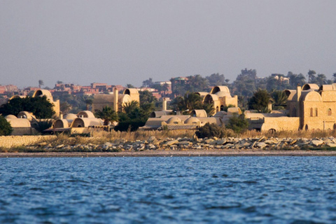 Il Cairo: Fayoum, Wadi El Rayan e Wadi al Hitan Tour 4x4Tour privato senza biglietti e pranzo