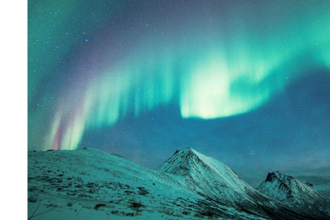 Tromsö: Nordlicht-Verfolgungsjagd im großen Bus mit kostenlosen Fotos