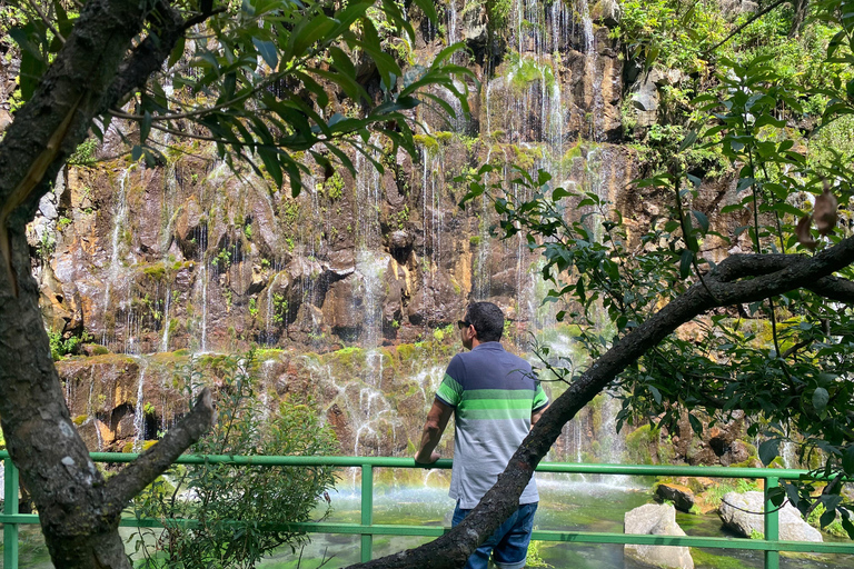 Tbilisi: Dashbashi Canyon & Beshtasheni Private Tour