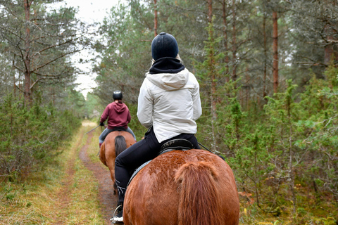 Dambulla: Scenic Countryside Horseback Ride 2-hour Dambulla: Scenic Countryside Horseback Ride