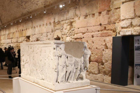 Roman Circus & Praetorium Combined Entry Ticket Tarraco
