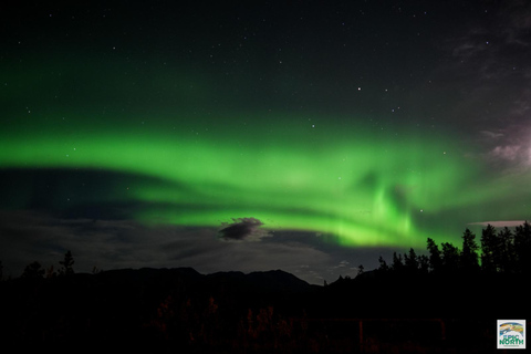 Aurora Lounge: Aurora Viewing Cabin & Bar