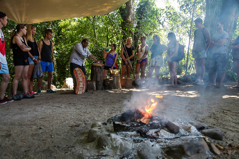 Daintree, Wąwóz Mossman i Cape Tribulation z rejsem i lunchWycieczka z Cairns z rejsem wśród krokodyli